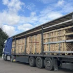 Camion legna da ardere di carpino faggio 22 bancali (44 RM) 25/33cm