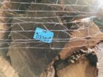 Legna da ardere di quercia bianca 50 cm secca su pallet - immagine 4