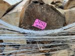 Legna da ardere di carpino tronchi secchi da 50 cm su bancale - immagine 2
